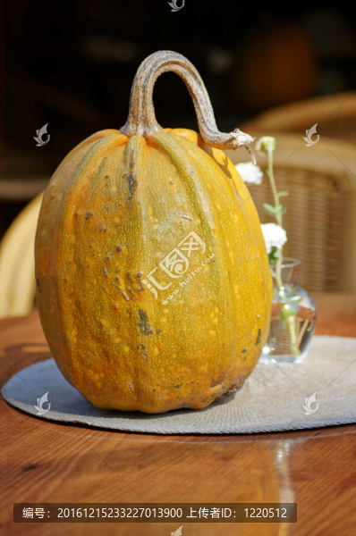 秋季蔬菜特寫