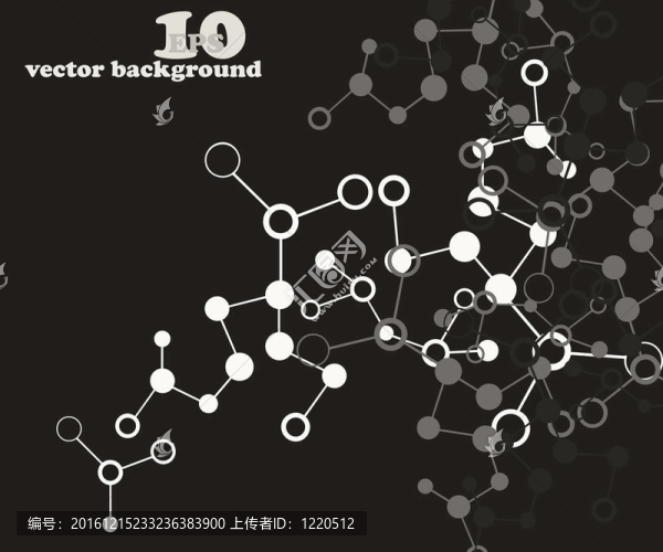 分子