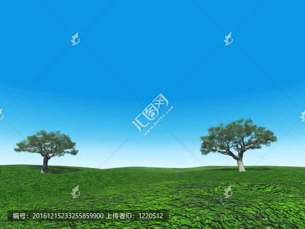 夏日天空中背景的藍(lán)天上的樹