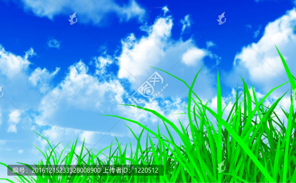 多云的天空上多汁的青草
