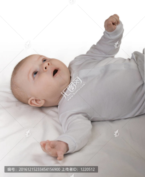 月齡小兒童觀察世界之新