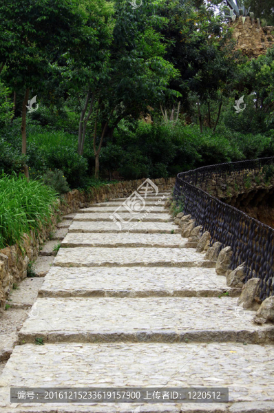 公園路