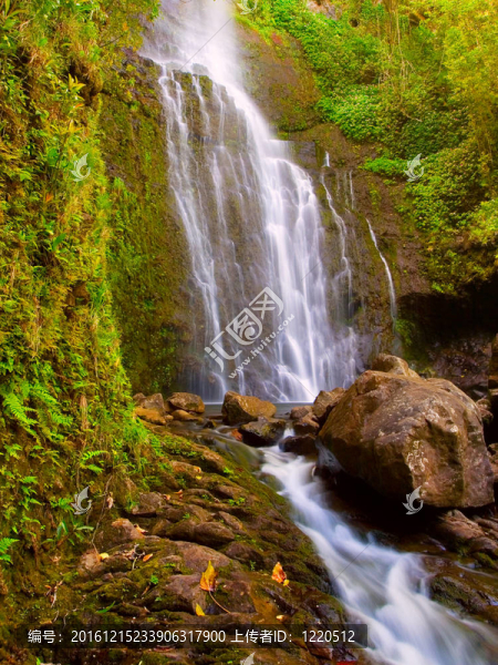美麗的Lush,Waterfall