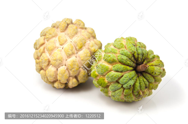 兩蛋奶凍蘋果