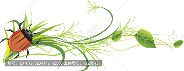 錯(cuò)誤的枝