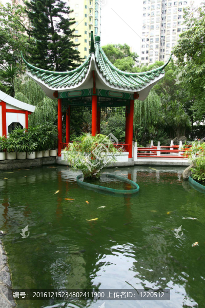 在香港的中國花園