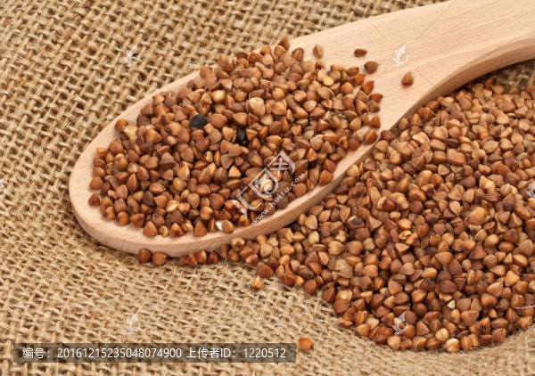在解雇蕎麥