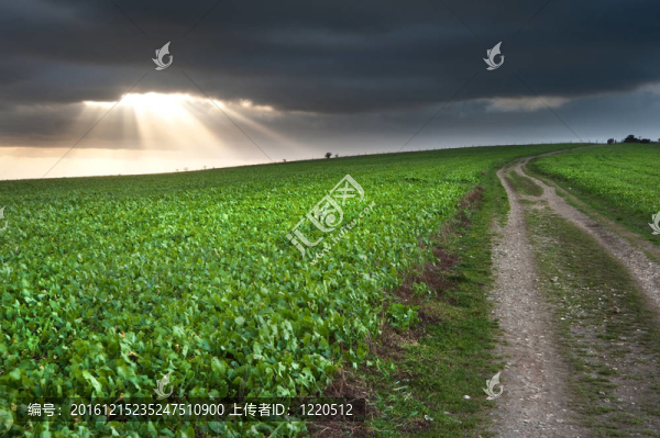 令人驚嘆的穆迪天空與美麗的云形成和顏色的鄉(xiāng)村景觀的路徑導(dǎo)致距離