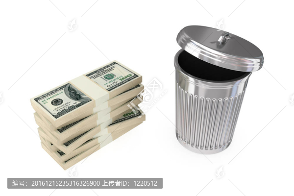 大美元的包和垃圾桶。