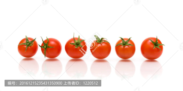 六個白色背景的西紅柿