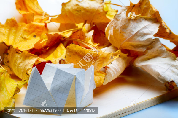 折紙和秋天的落葉