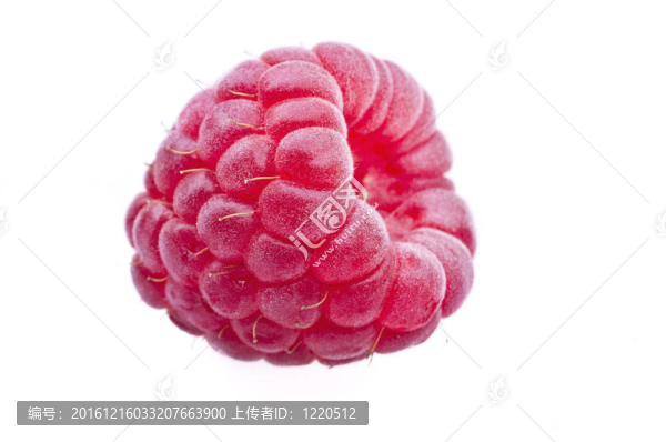 覆盆子