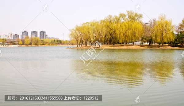 湖邊的城市公園；綠樹倒影