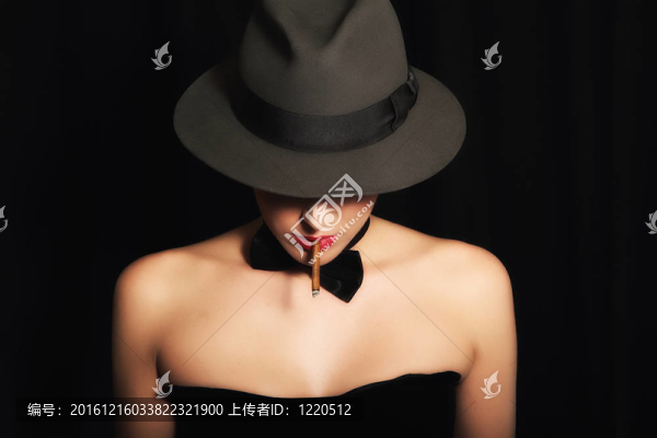 迷人女士肖像