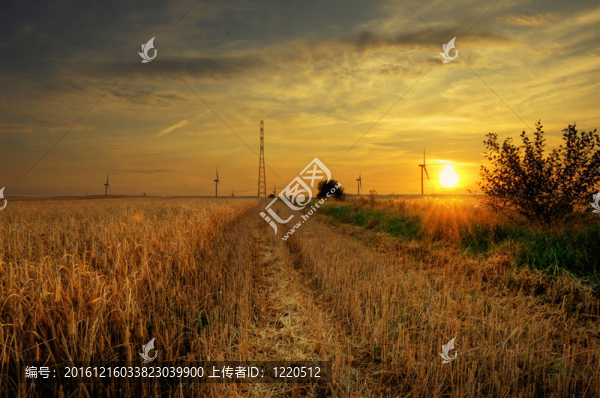 鄉(xiāng)村景觀。