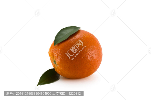 鮮橙色的葉子