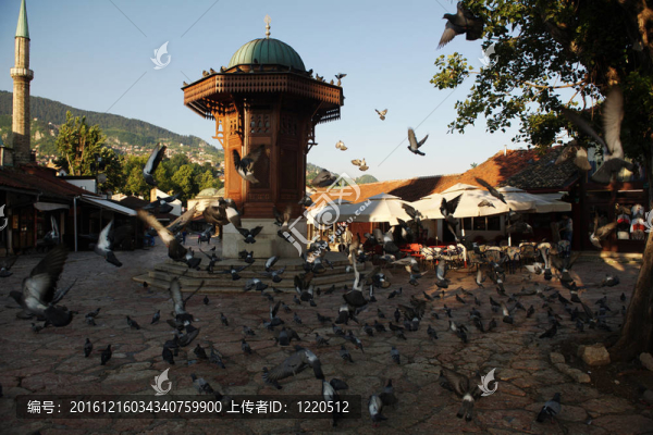 薩拉熱窩市bosnia