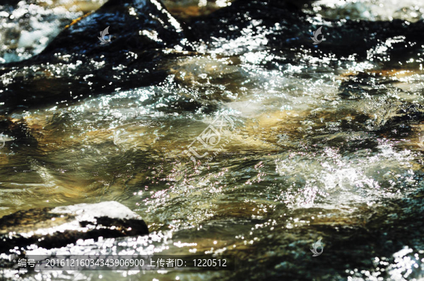 新鮮的水