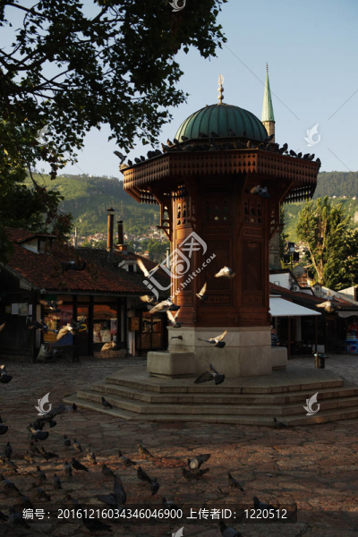 薩拉熱窩市bosnia
