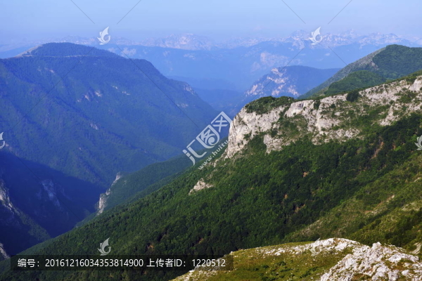 山自然