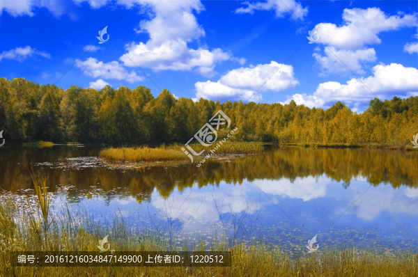 湖泊和森林。