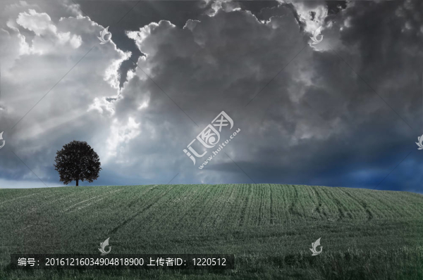 風(fēng)暴。