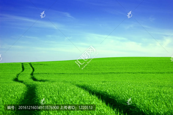 綠野與藍天概念形象。