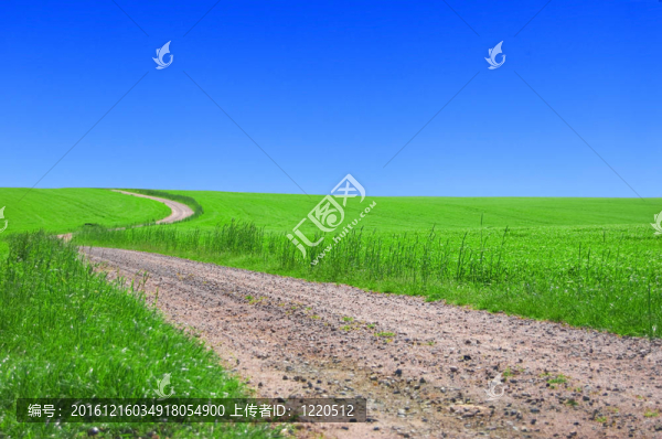 綠色領域與道路和藍天。