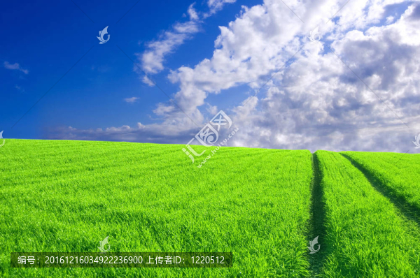 綠野與藍天概念形象。