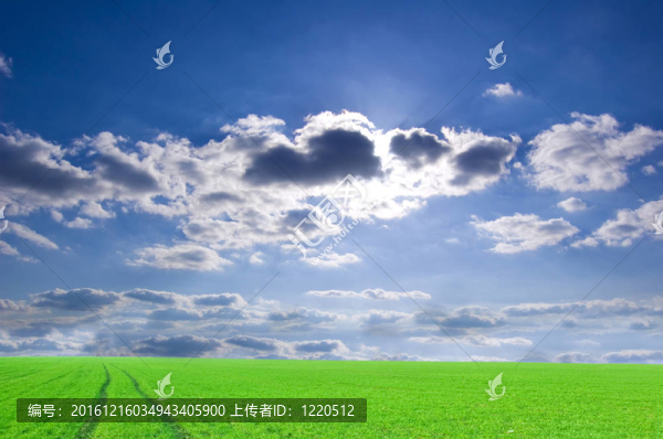 綠野與藍天概念形象。