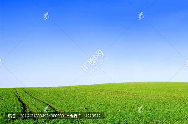 綠野與藍(lán)天概念形象。