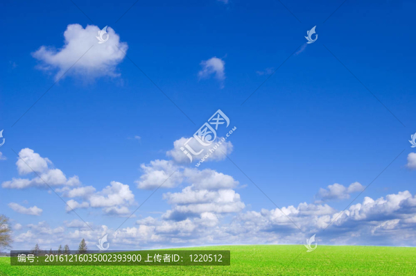 綠野與藍天概念形象。