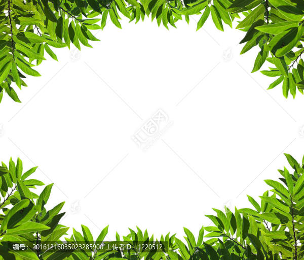 天然綠框