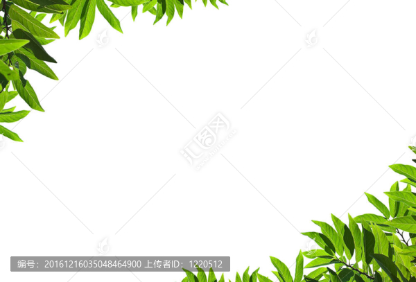 天然綠框