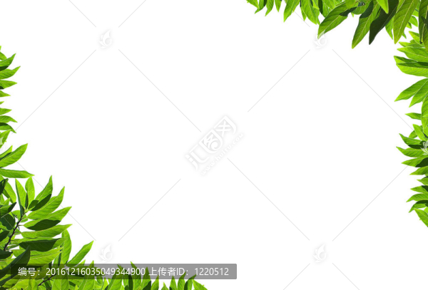 天然綠框