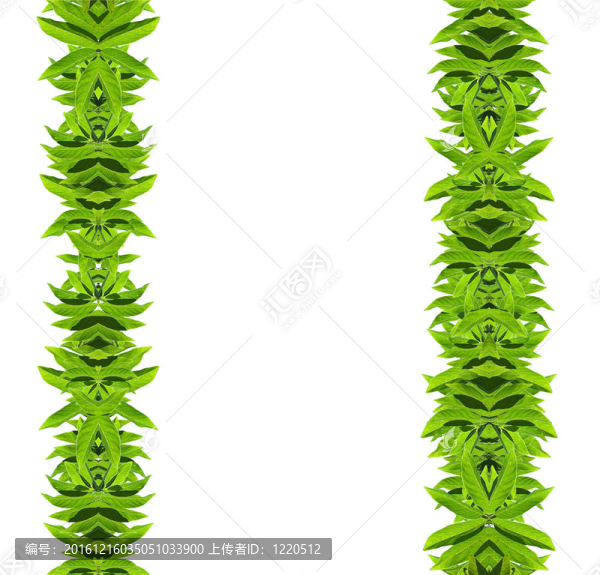 天然綠框