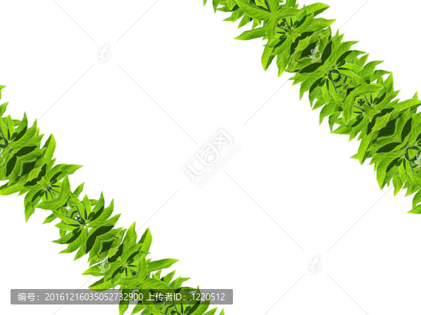 天然綠框