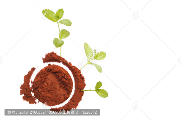 概念：用薄荷葉圓地球；白色隔離BAC