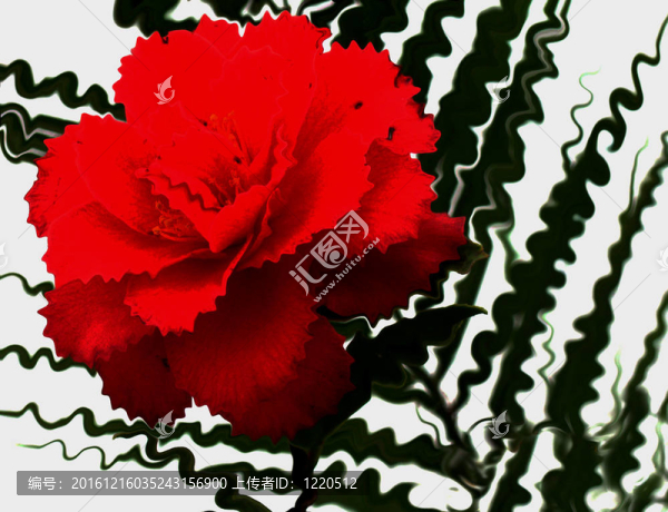 紅色與Green,Flower