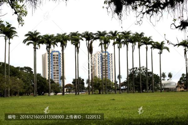 全景