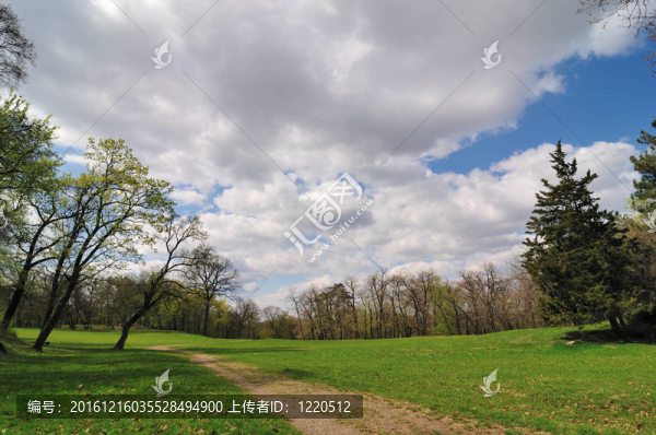 春天的公園