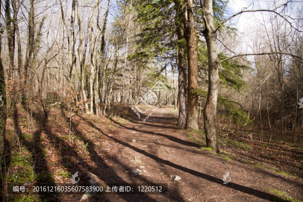蒙塞尼自然公園