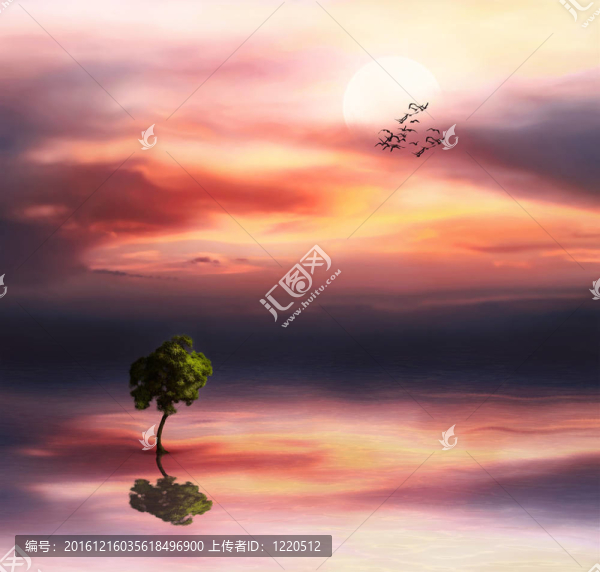 美麗的風(fēng)景