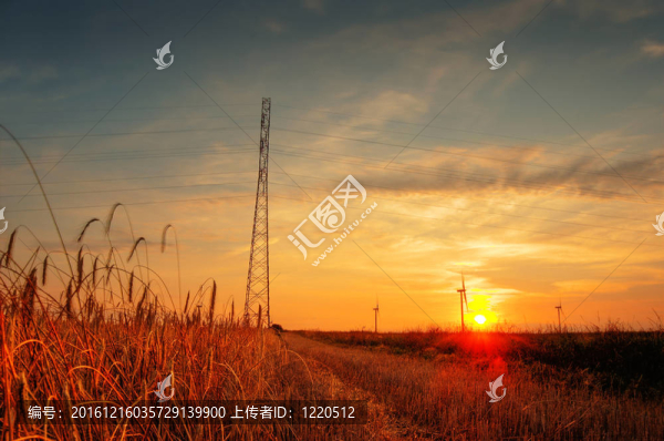 鄉(xiāng)村景觀。