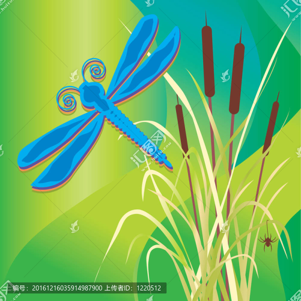 在香蒲的蜻蜓