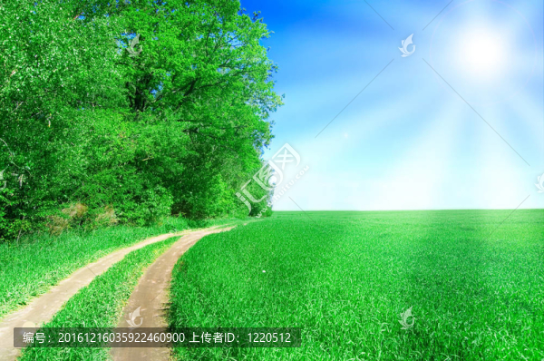 夏天的風(fēng)景。