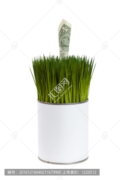 青草與美元