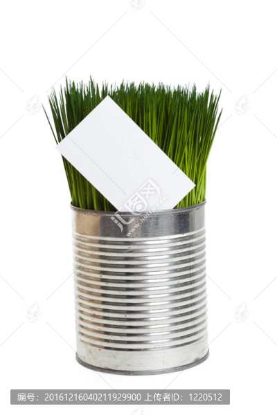 青草和名片