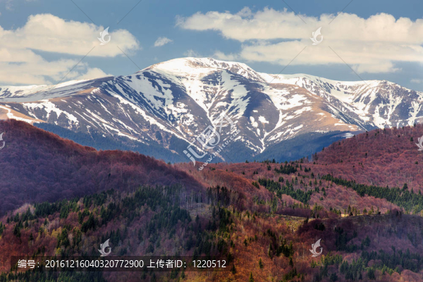 山地景觀