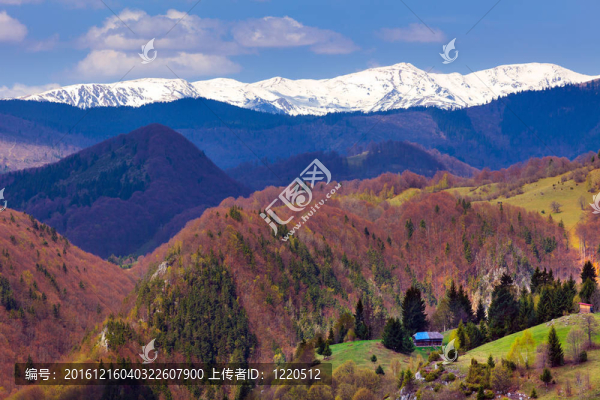 山地景觀